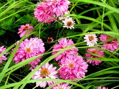 -北京植物园-展览温室