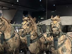 -秦始皇帝陵博物院(兵马俑)
