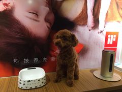 -PETKIT小佩宠物(古北店)