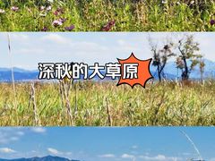 -敕勒川草原