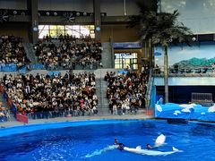 -海合安成都极地海洋公园