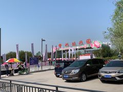 -曹州牡丹园