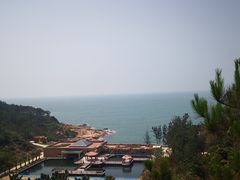 -广东惠东海龟国家级自然保护区