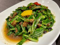 -羲和雅苑•北京烤鸭(国贸商城店)
