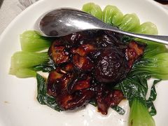 -新吉士·上海菜(浦东LCM置汇旭辉店)