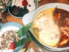 -青瓷火锅料理(西单大悦城店)