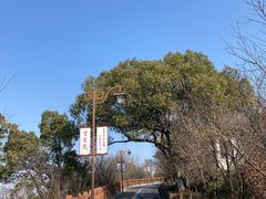 -杭州半山国家森林公园