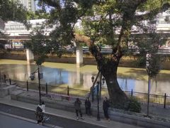 -广东胜利宾馆西关粤中餐厅