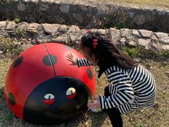 -梁子湖东篱老屋生态庄园
