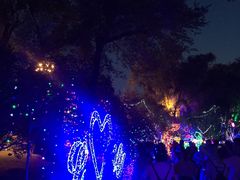 -哈尔滨文化公园