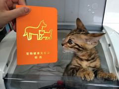 -北京赛佳动物医院