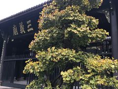 -成都武侯祠博物馆