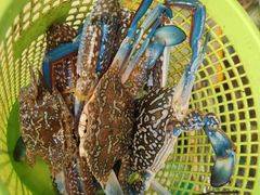 -阿弟特色海鲜餐厅·大排档(平潭店)