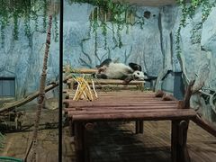 -深圳野生动物园