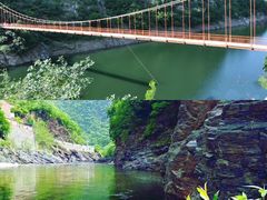 -黑河国家森林公园