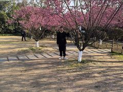 -杭州西湖风景名胜区-白苏二公祠