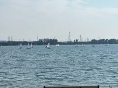 -漕湖湿地公园