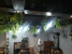 点击看大图 -Ly形象设计