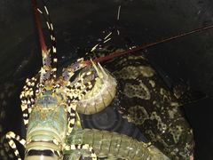 -拉威海鲜市场