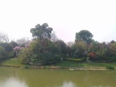 -桃花岛景观公园