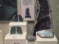 -天津自然博物馆