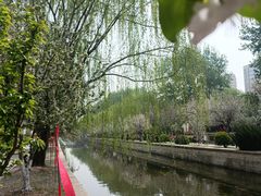 -元大都城垣遗址公园