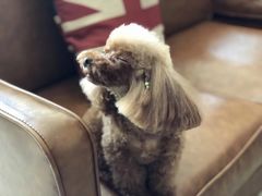 -佳雯宠物医院(四明中路分院)