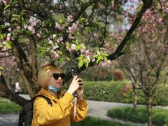 -南山植物园