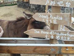 -HERRE·FARM 赫尔露营农场·团建聚会包场