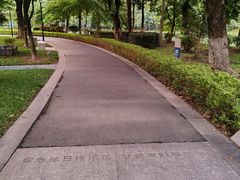 -长洲岛
