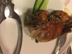 -锦江宾馆-花园餐厅