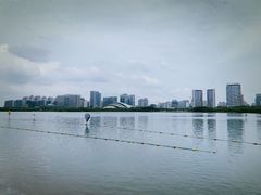 -天鹅湖体育公园