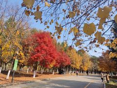 -长春世界雕塑园