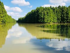 -上海海湾国家森林公园