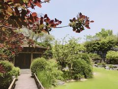 -吴淞炮台湾湿地森林公园烧烤区