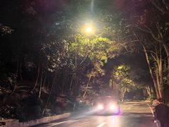 -铁山坪森林公园