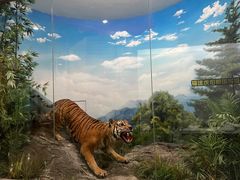 -国家自然博物馆