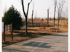 -东郊湿地公园