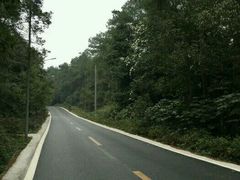 -铁山坪森林公园