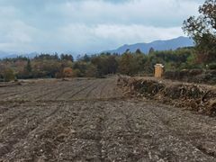 -塔川景区