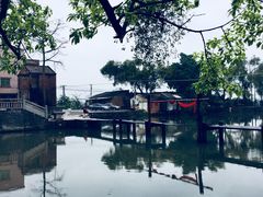 -烟桥私房菜馆(奋哥)