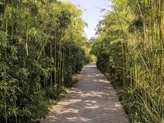 -唐城墙遗址公园