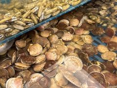 -港畔赶海蒸汽海鲜烧烤自助(仙螺岛店)