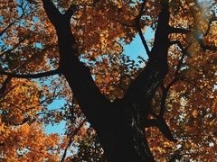 -鹫峰国家森林公园