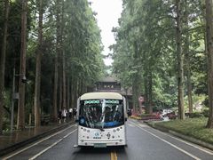 -青城山