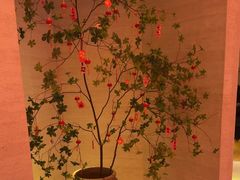 -舒小悦·舒养SPA·古法推拿(光环中心店)