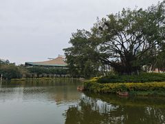 -厦门大学(思明校区)
