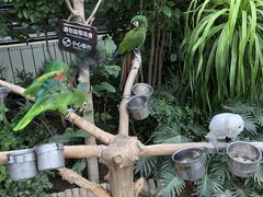 -南宫五洲植物乐园