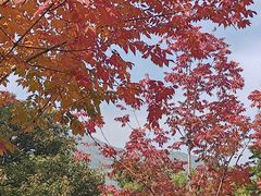 -北京西山国家森林公园