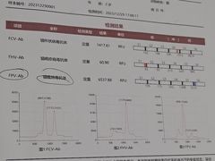 -宠福鑫康馨动物医院·骨科·眼科